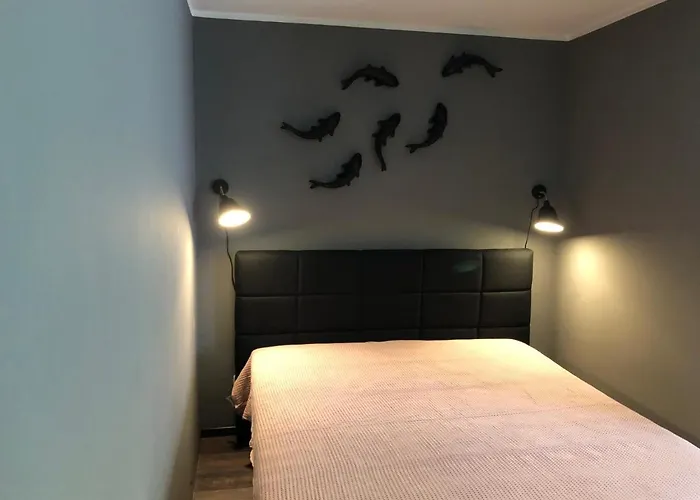 In Dresden-neustadt Lejlighed Dresden